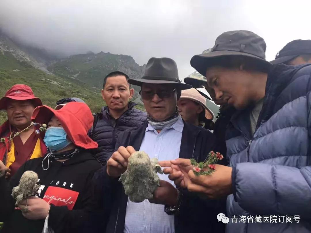 性爱直播
2019年度藏医药专业技术人员藏药材野外实践教学活动在湟中群加举行(图3)
