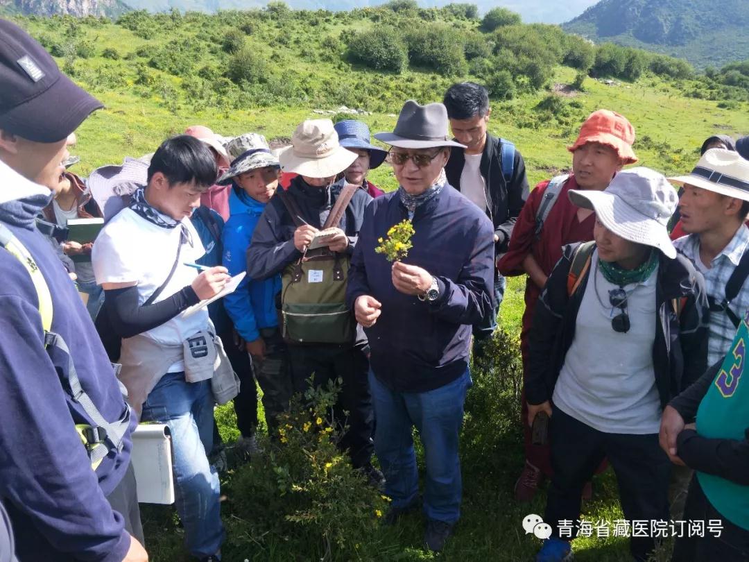 性爱直播
2019年度藏医药专业技术人员藏药材野外实践教学活动在湟中群加举行(图4)