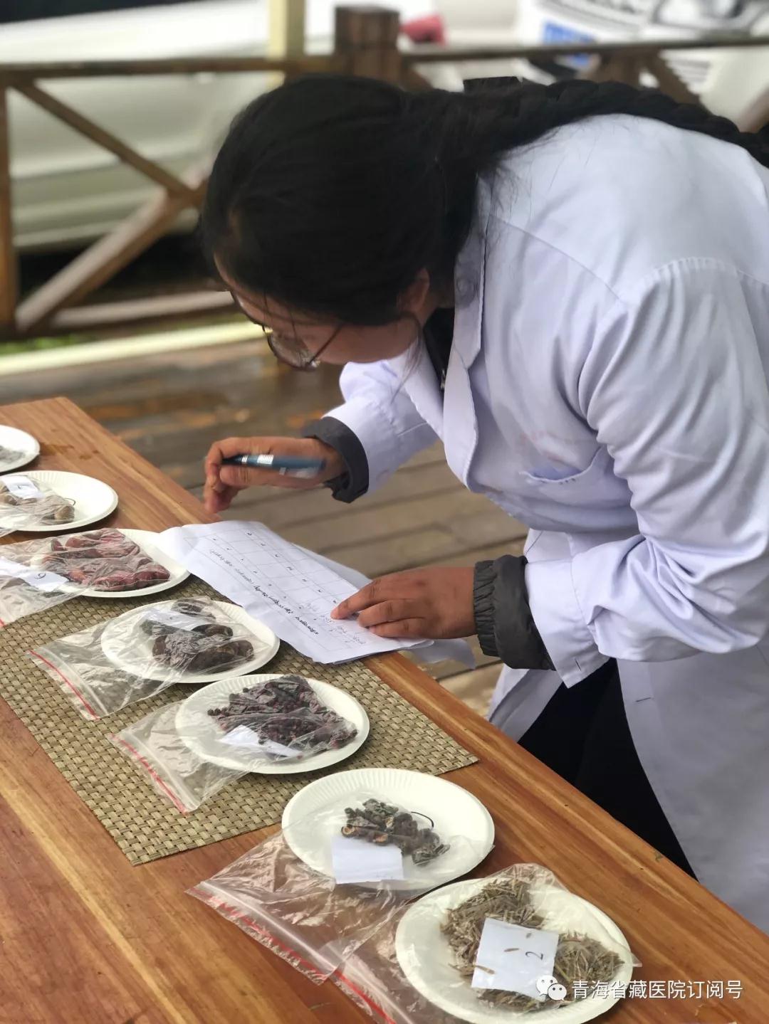 性爱直播
2019年度藏医药专业技术人员藏药材野外实践教学活动在湟中群加举行(图7)