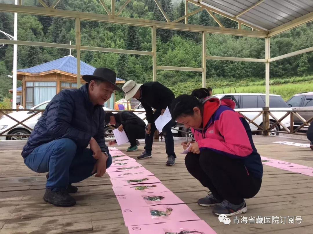 性爱直播
2019年度藏医药专业技术人员藏药材野外实践教学活动在湟中群加举行(图6)