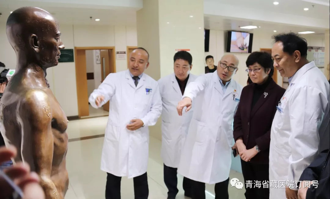 青海省副省长张黎赴省藏性爱直播
调研(图1)