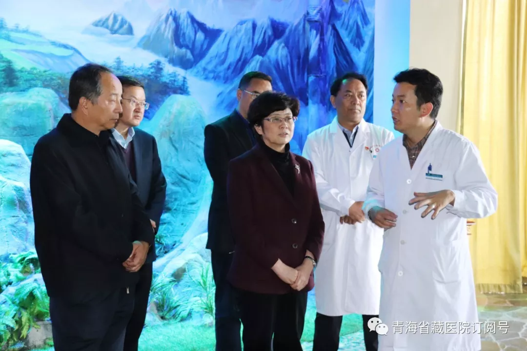 青海省副省长张黎赴省藏性爱直播
调研(图2)